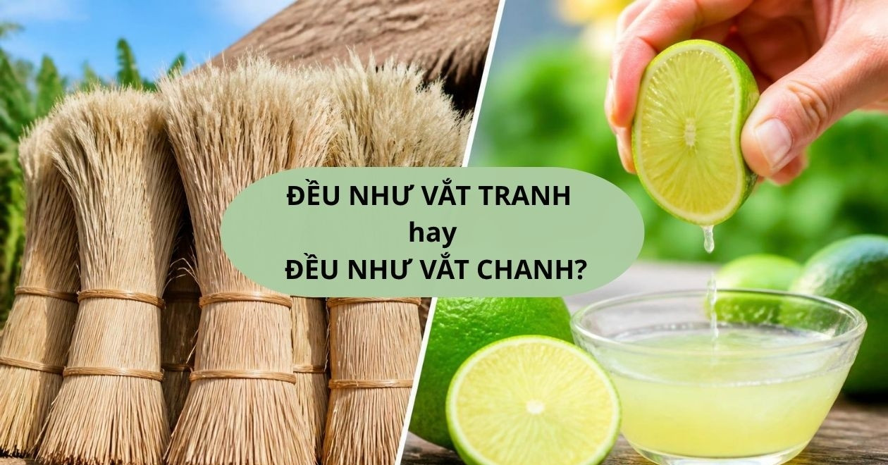 Cách viết nào mới đúng: Đều như vắt tranh hay Đều như vắt chanh?