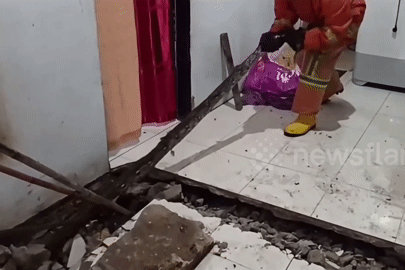 Chủ nhà tá hỏa phát hiện 2 con trăn khủng làm tổ dưới sàn bếp