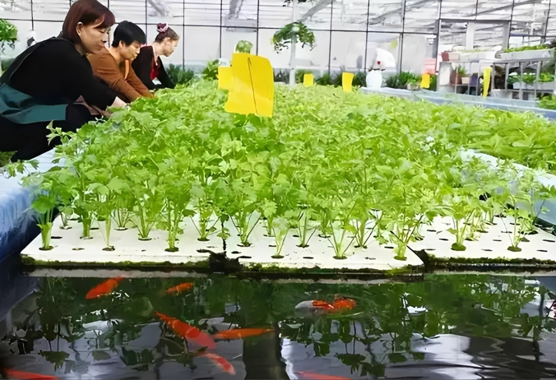Hình 2 (12).png