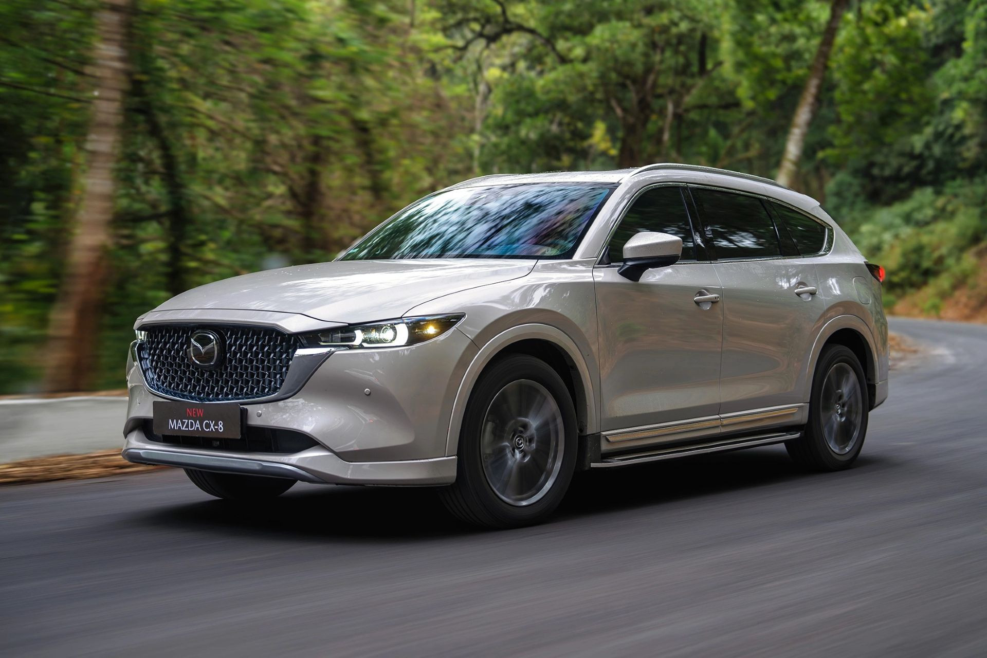 Mazda CX 8.jpg
