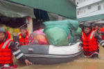 Mưa ngập tới bụng, hơn 800 tiểu thương chợ đầu mối hối hả cứu hàng