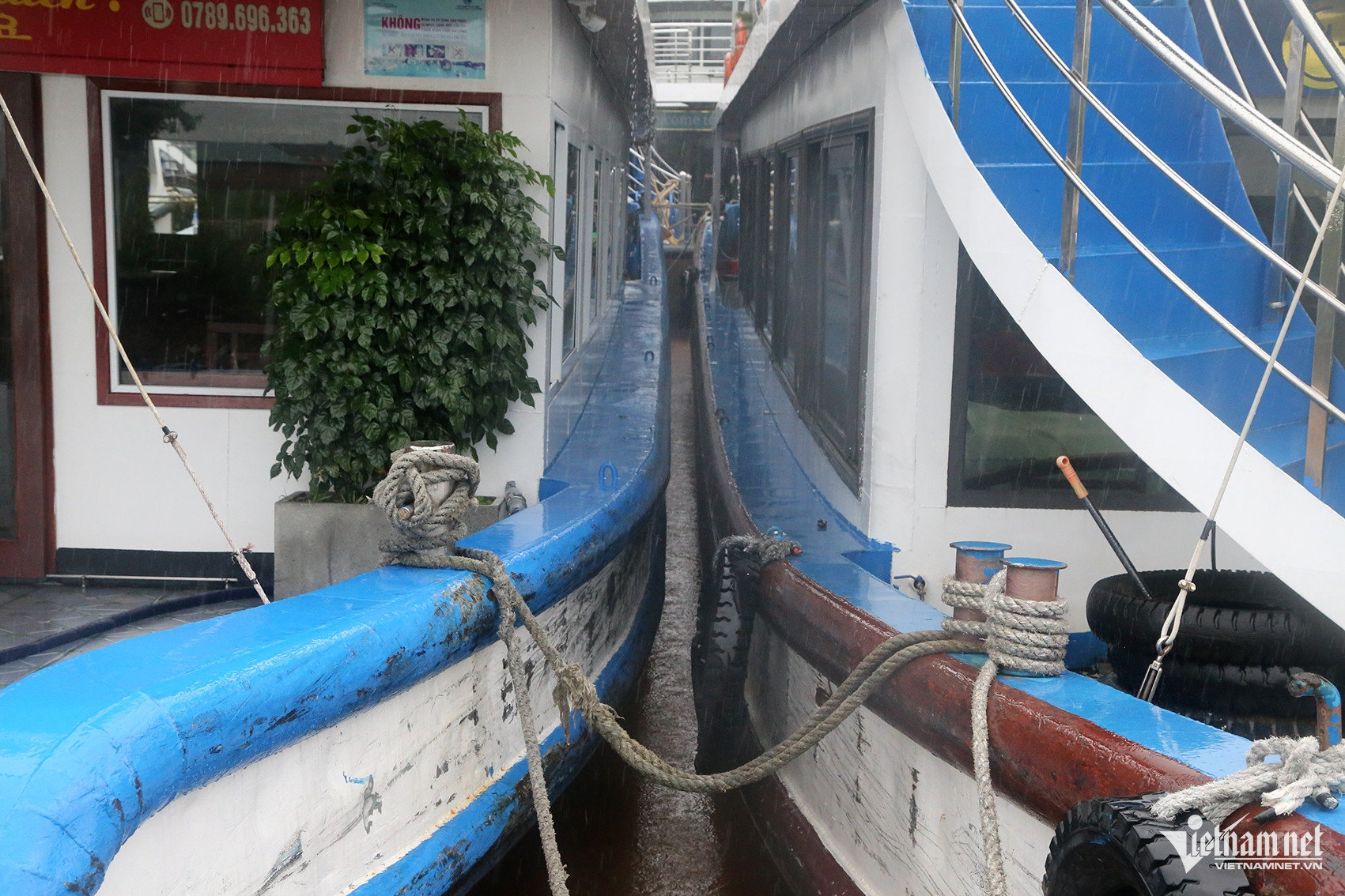W-Ảnh 6.JPG.jpg