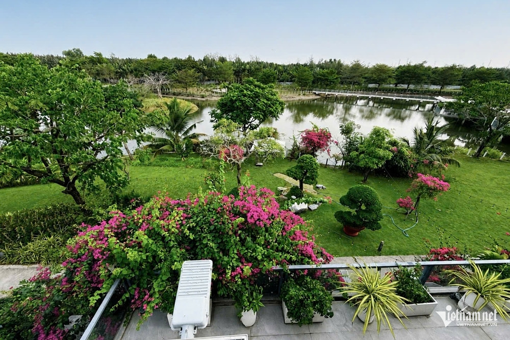 https://static-images.vnncdn.net/vps_images_publish/000001/000003/2026/8/22/w-cao-thai-son-001-2880.jpg