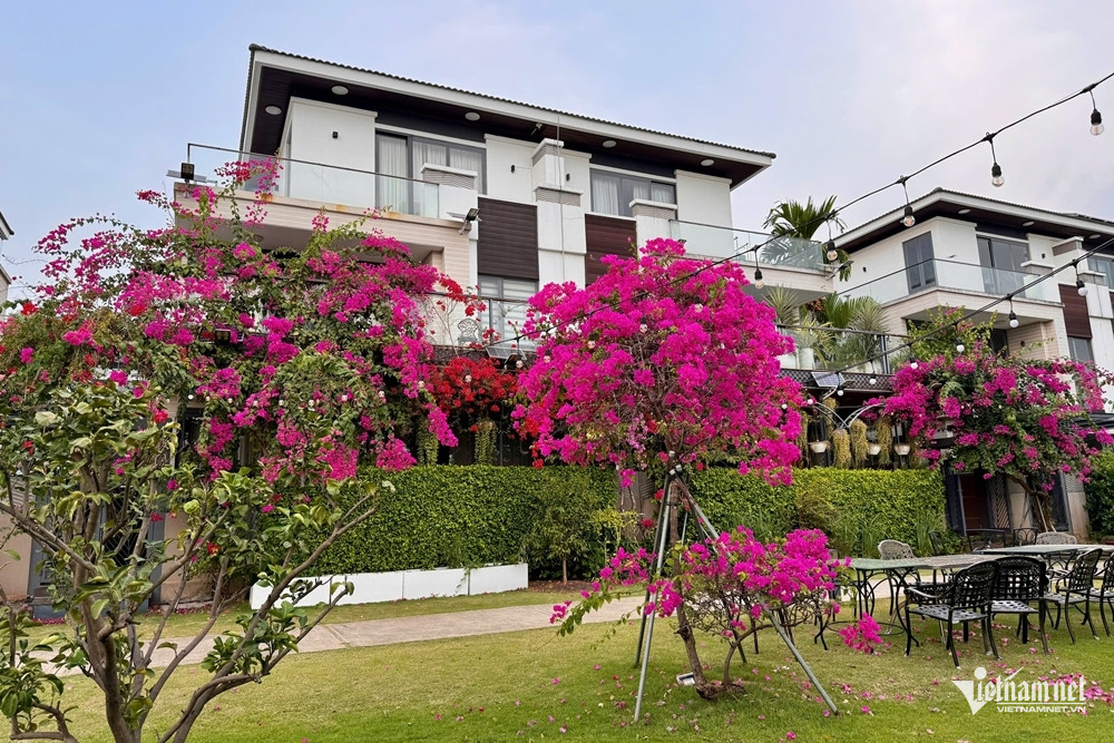 https://static-images.vnncdn.net/vps_images_publish/000001/000003/2026/8/22/w-cao-thai-son-003-2879.jpg