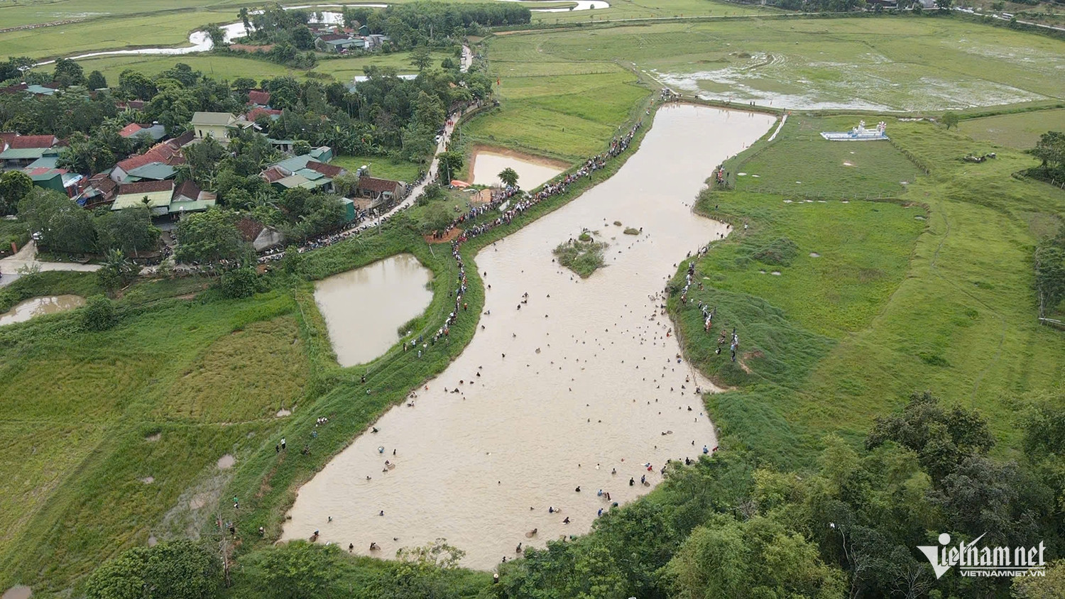 W-nơm cá 11.jpg