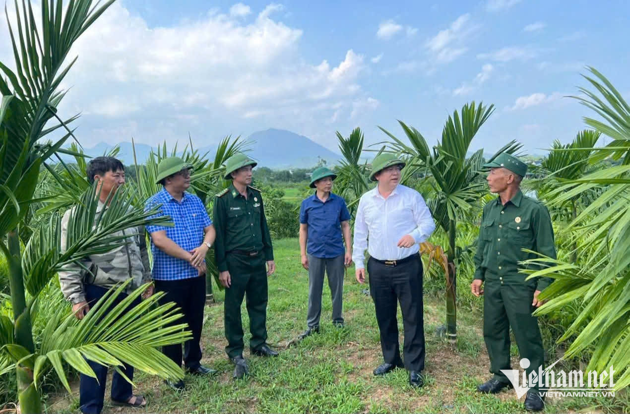 W-Ông Đào Biên Thùy - Bí thư Đảng ủy xã Quảng Tân (thứ 2 từ phải sang) thăm, kiểm tra thực tế một số mô hình kinh tế trên địa bàn.jpg