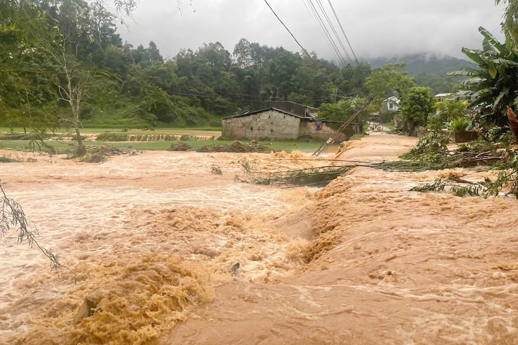 784183056_1645978390862330_5988545163486650525_n.jpg