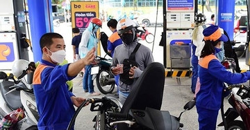 Giá xăng dầu hôm nay 23/8: Thế giới và trong nước đều ghi nhận tuần tăng