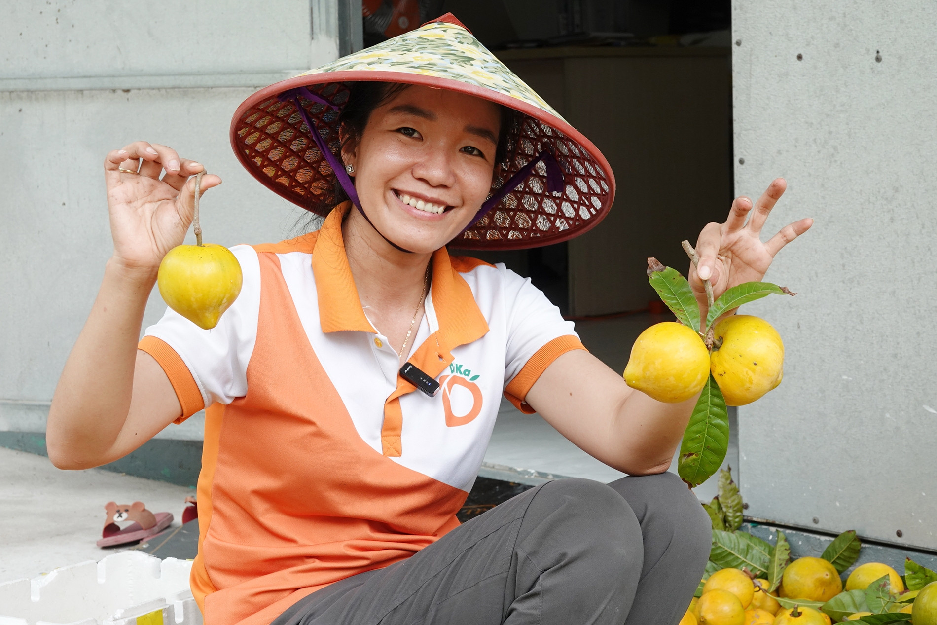 9X bỏ việc lương hơn 20 triệu, về Cần Thơ biến quả lêkima thành đặc sản