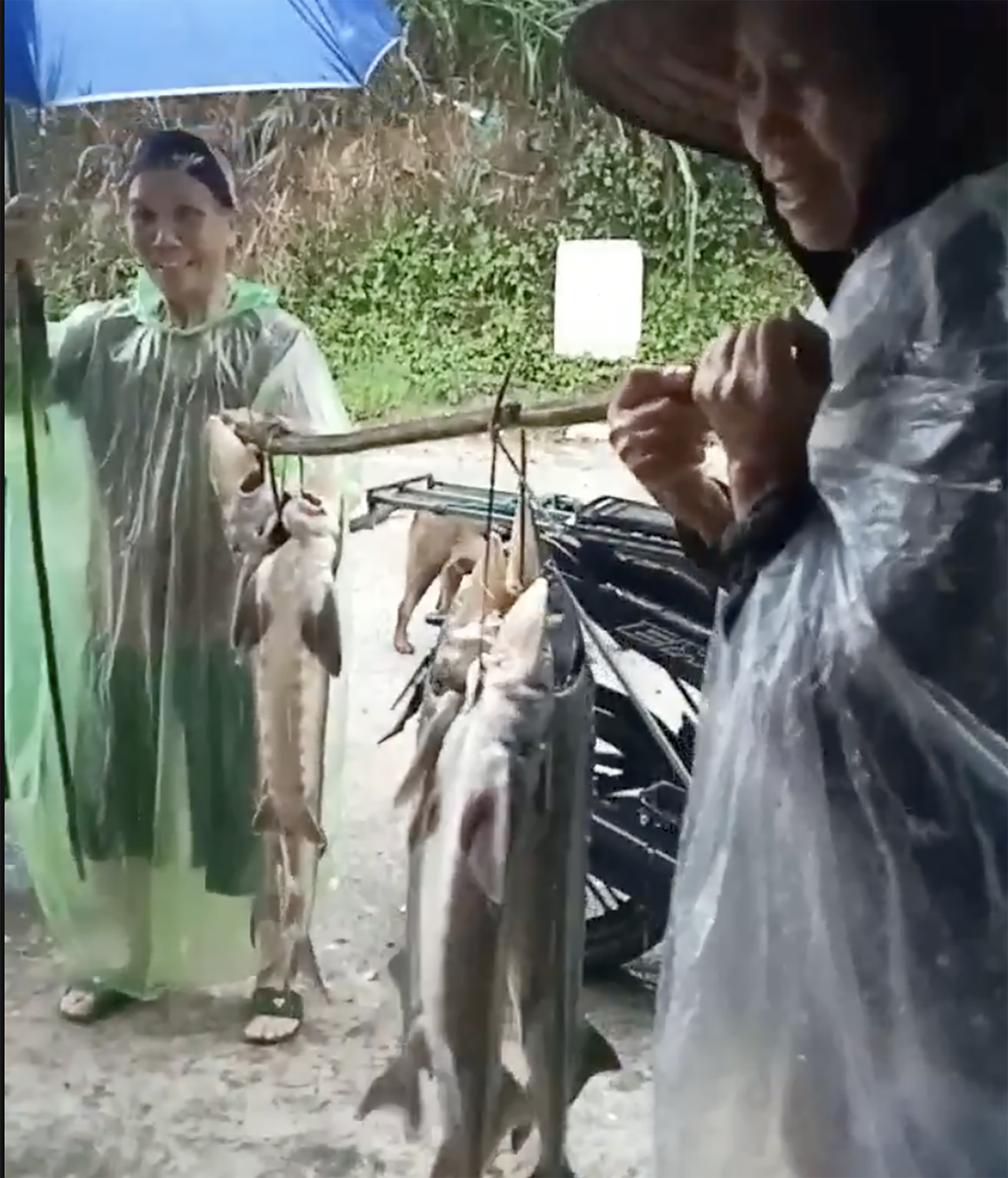 Ảnh chụp Màn hình 2026 08 23 lúc 10.42.56.png