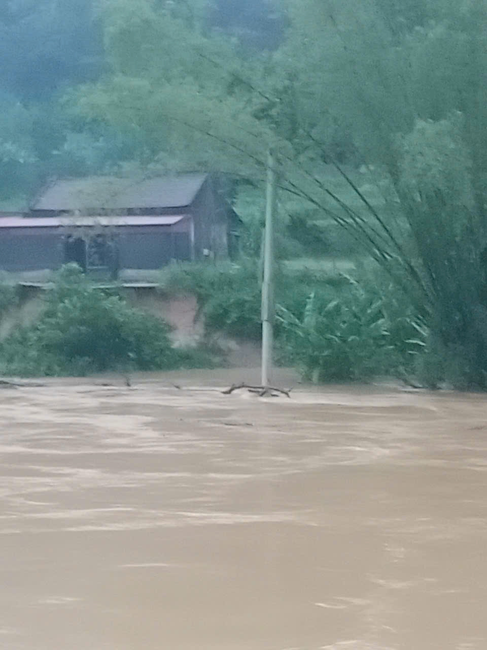 lu lang son.jpg
