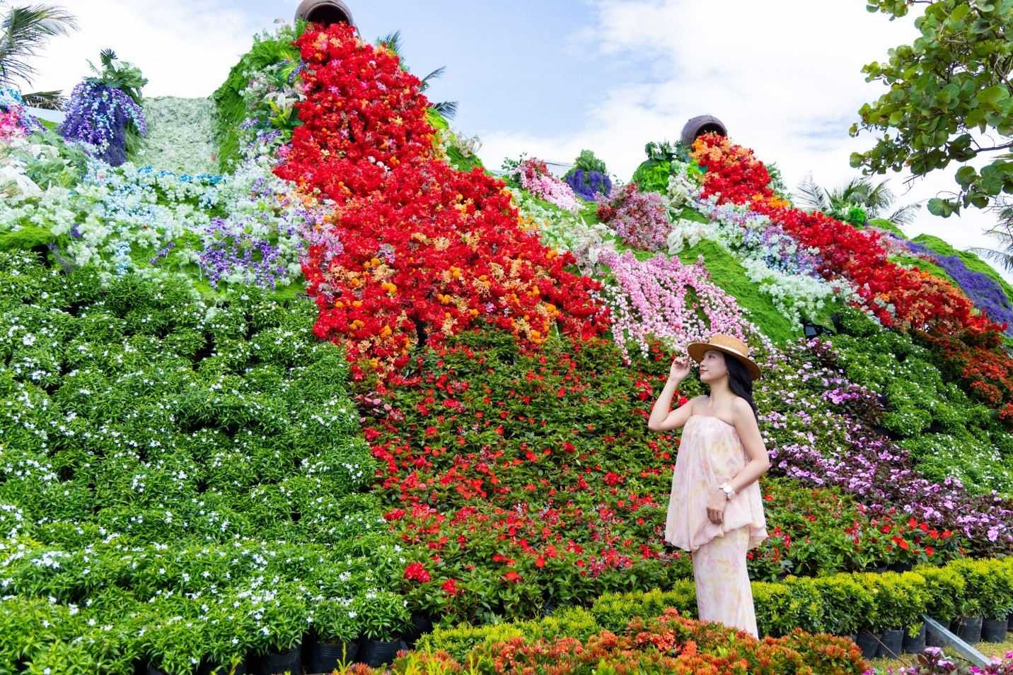 Ngàn hoa đại ngàn khoe sắc giữa phố biển Quy Nhơn Ảnh số 2.jpg