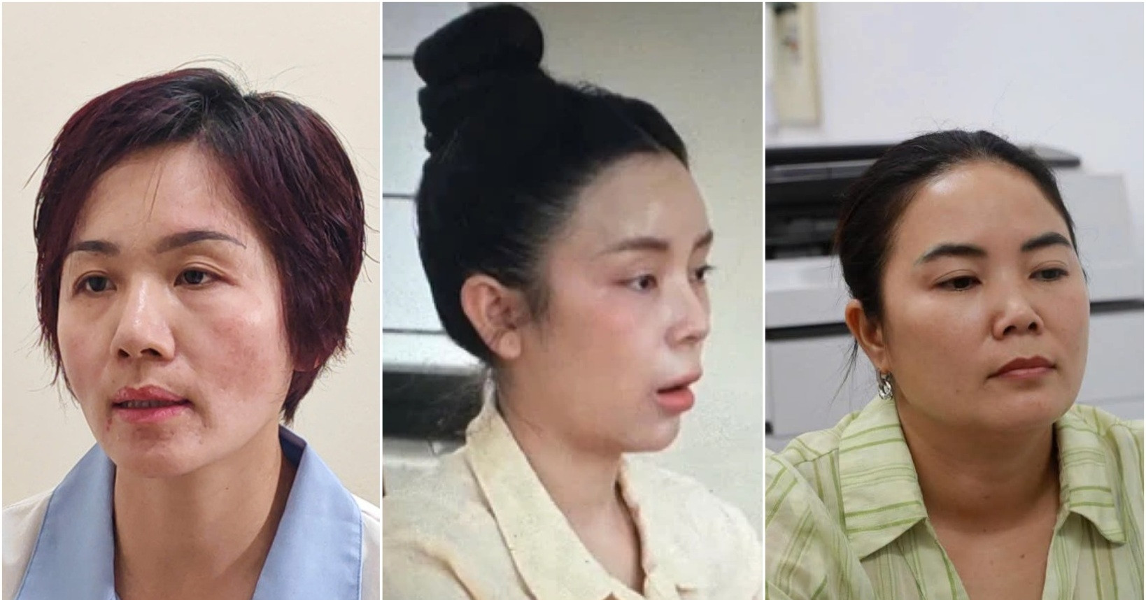 Hải Sapa TV, Huấn Hoa Hồng, Phú Lê bị khởi tố: Điểm chung ở vai trò của người vợ