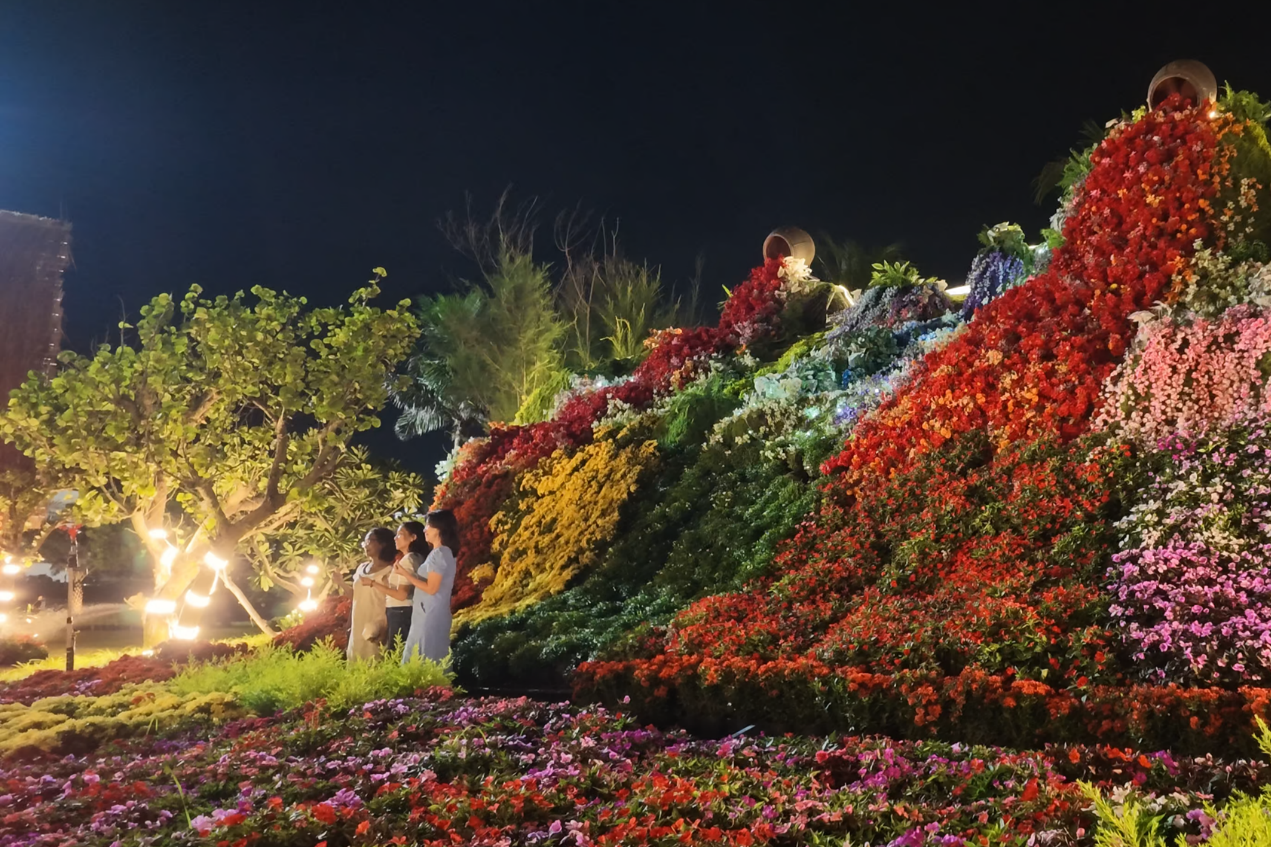 Ngàn hoa đại ngàn khoe sắc giữa phố biển Quy Nhơn
