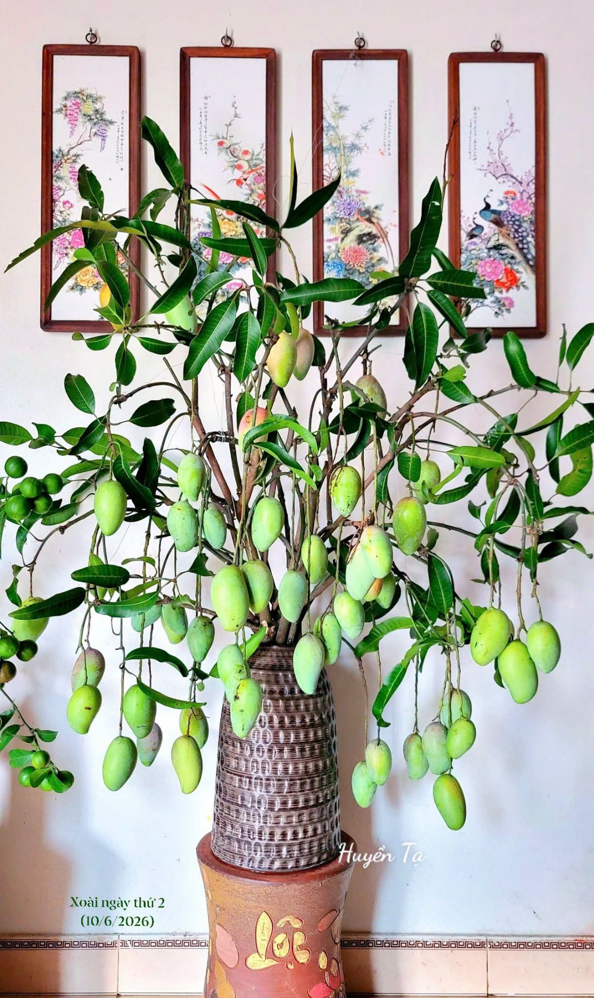 https://static-images.vnncdn.net/vps_images_publish/000001/000003/2026/8/25/binhhoa5-3219.jpeg