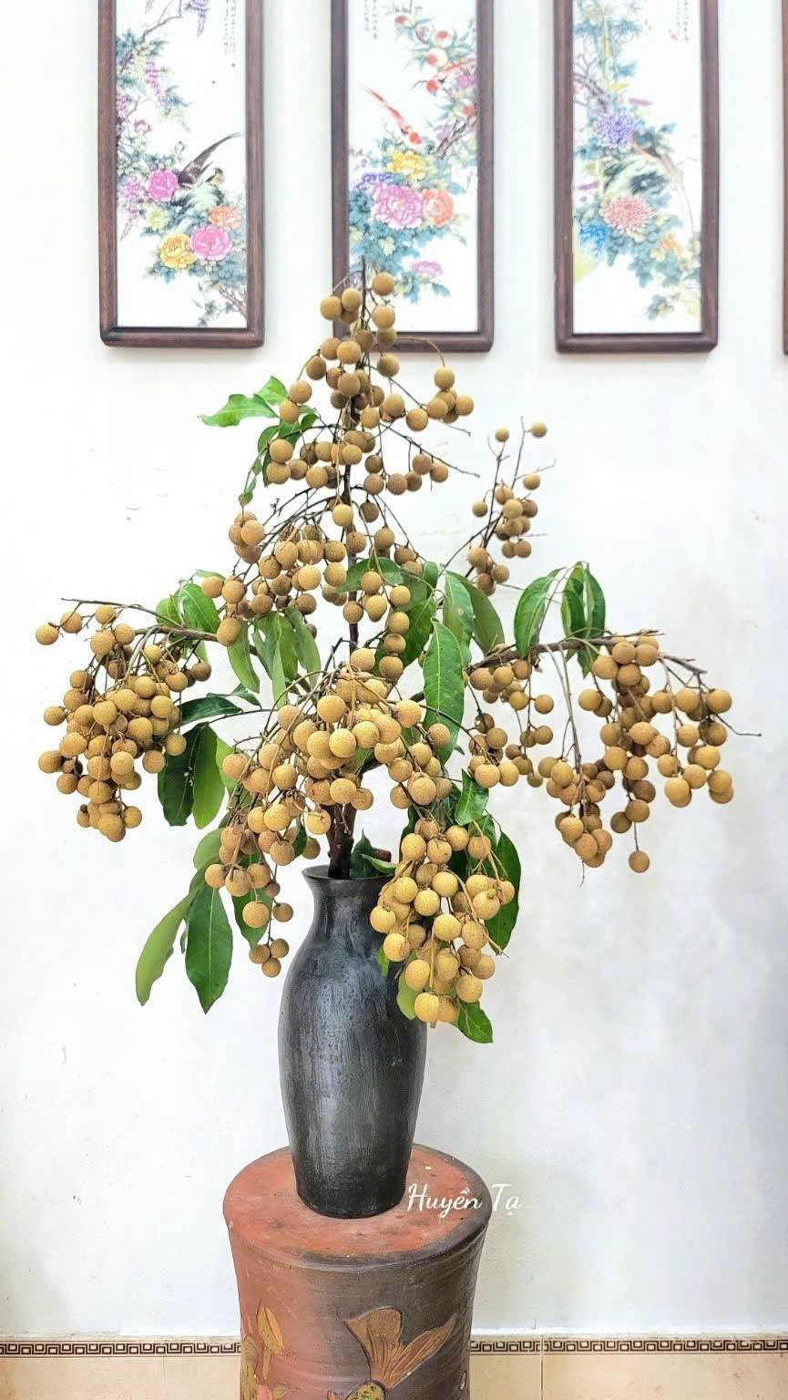 https://static-images.vnncdn.net/vps_images_publish/000001/000003/2026/8/25/binhnhan-3214.jpeg