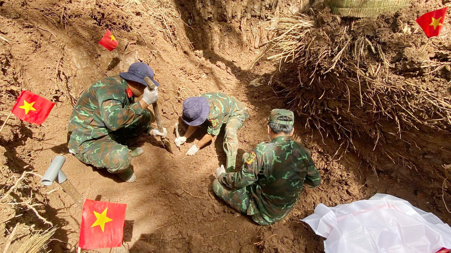 Đồng Tháp.jpg