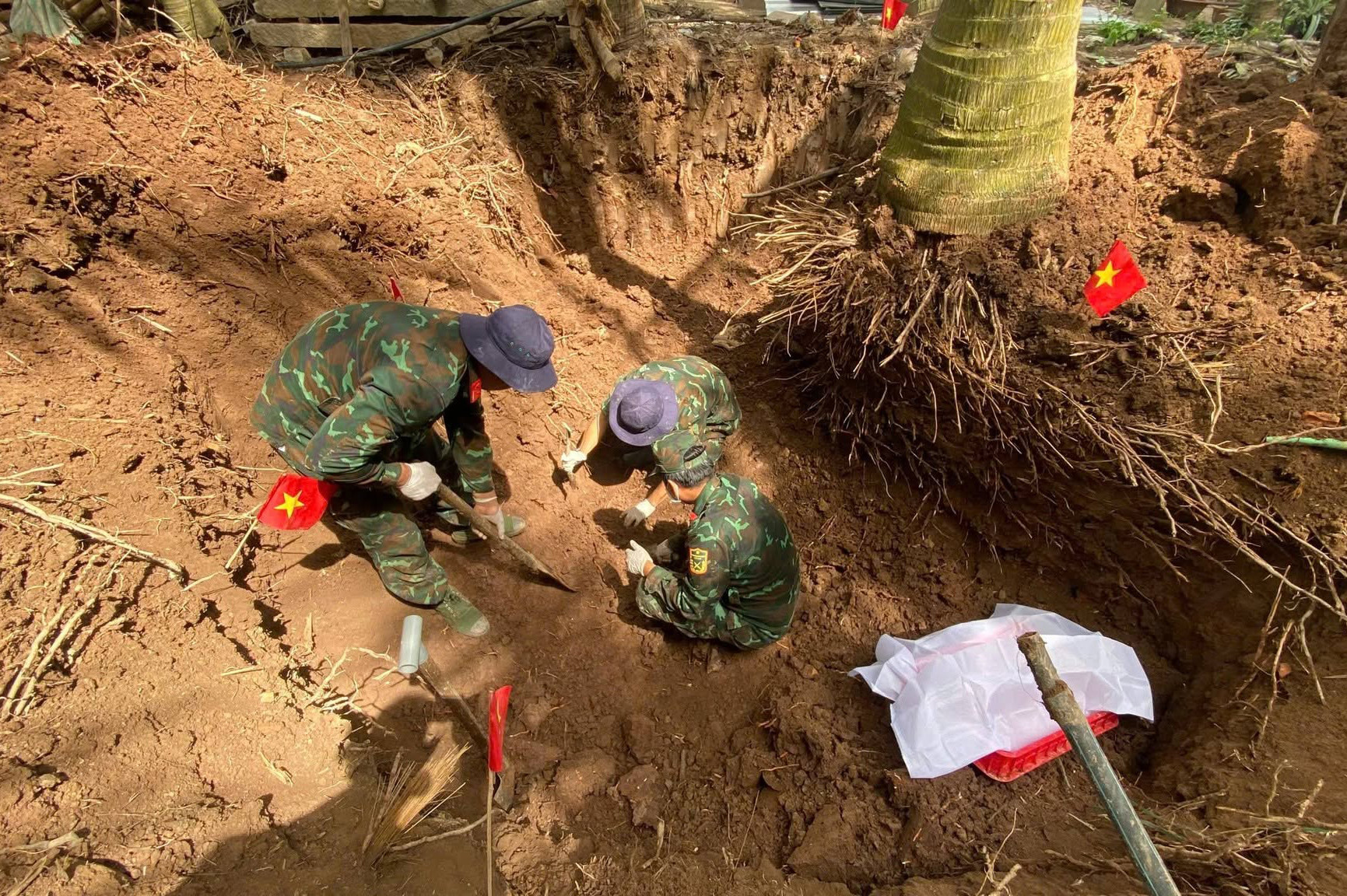 Đồng Tháp 33.jpg