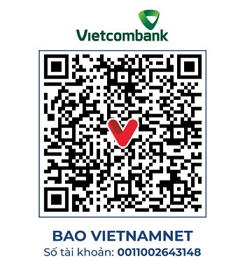 https://static-images.vnncdn.net/vps_images_publish/000001/000003/2026/8/25/vc-229-ba-dung-3157.jpg