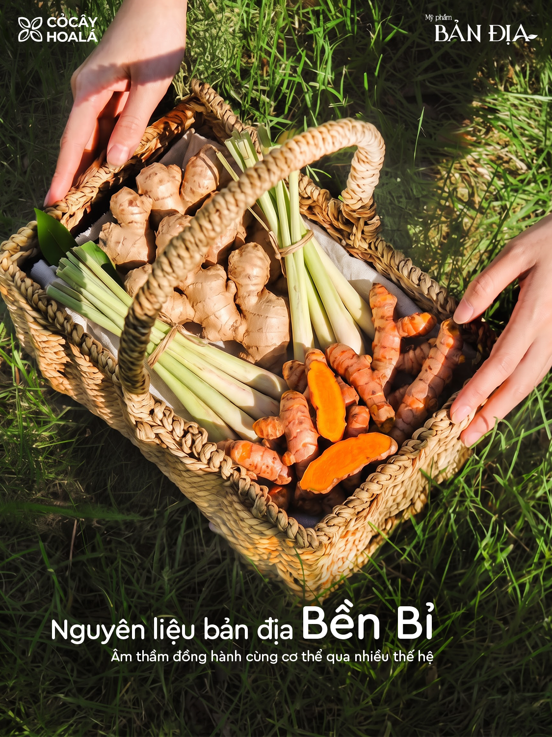 Ảnh 3.png