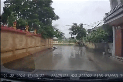 Thót tim cảnh ô tô suýt lao xuống ao nước do tài xế không chú ý