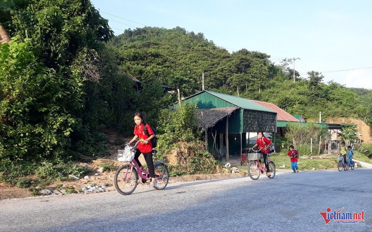W-hỗ trợ học tập 1.jpg