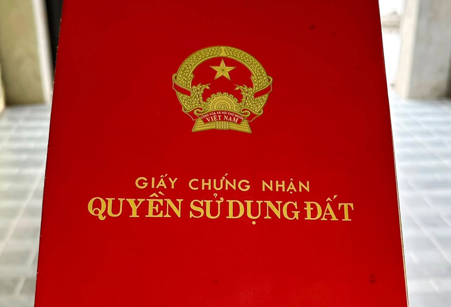 Kiến nghị làm rõ việc cấp sổ đỏ cho đất vi phạm trước 1/8/2024