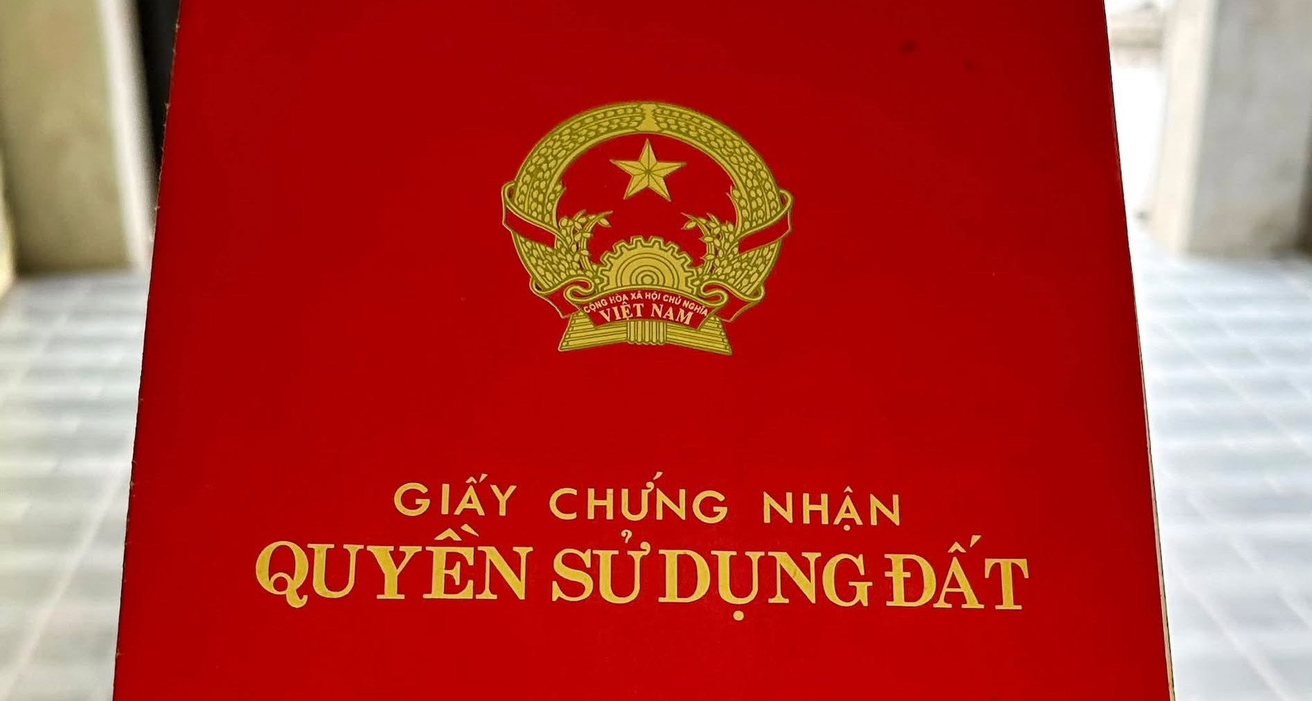 Kiến nghị làm rõ việc cấp sổ đỏ cho đất vi phạm trước 1/8/2024
