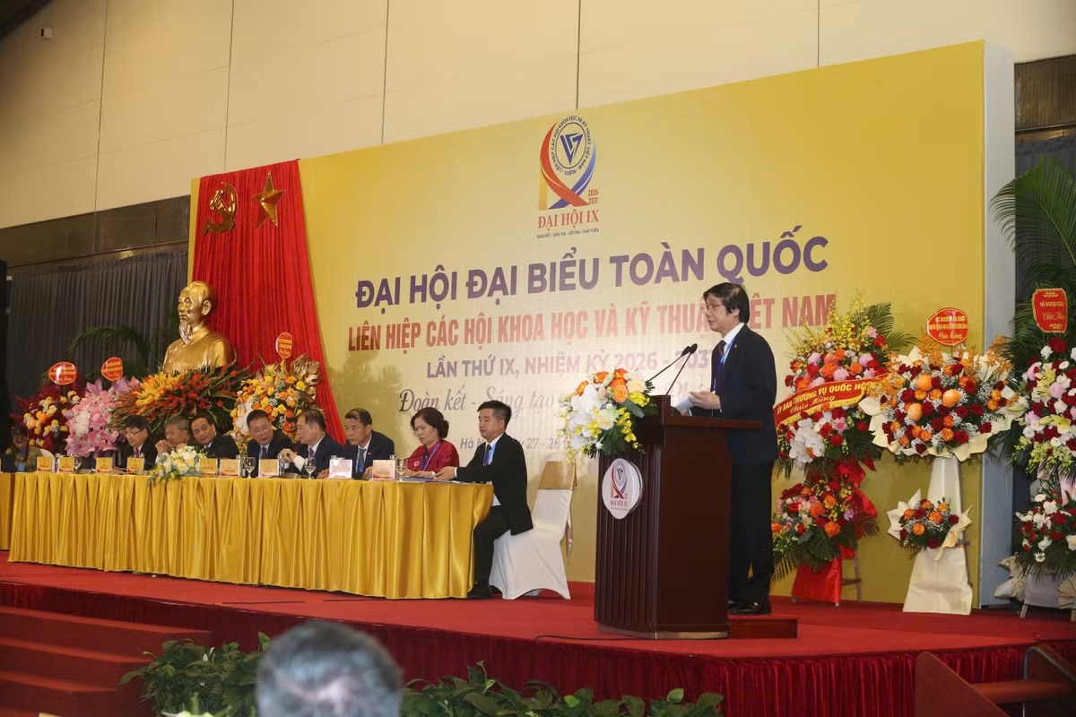 Dai hoi.avif