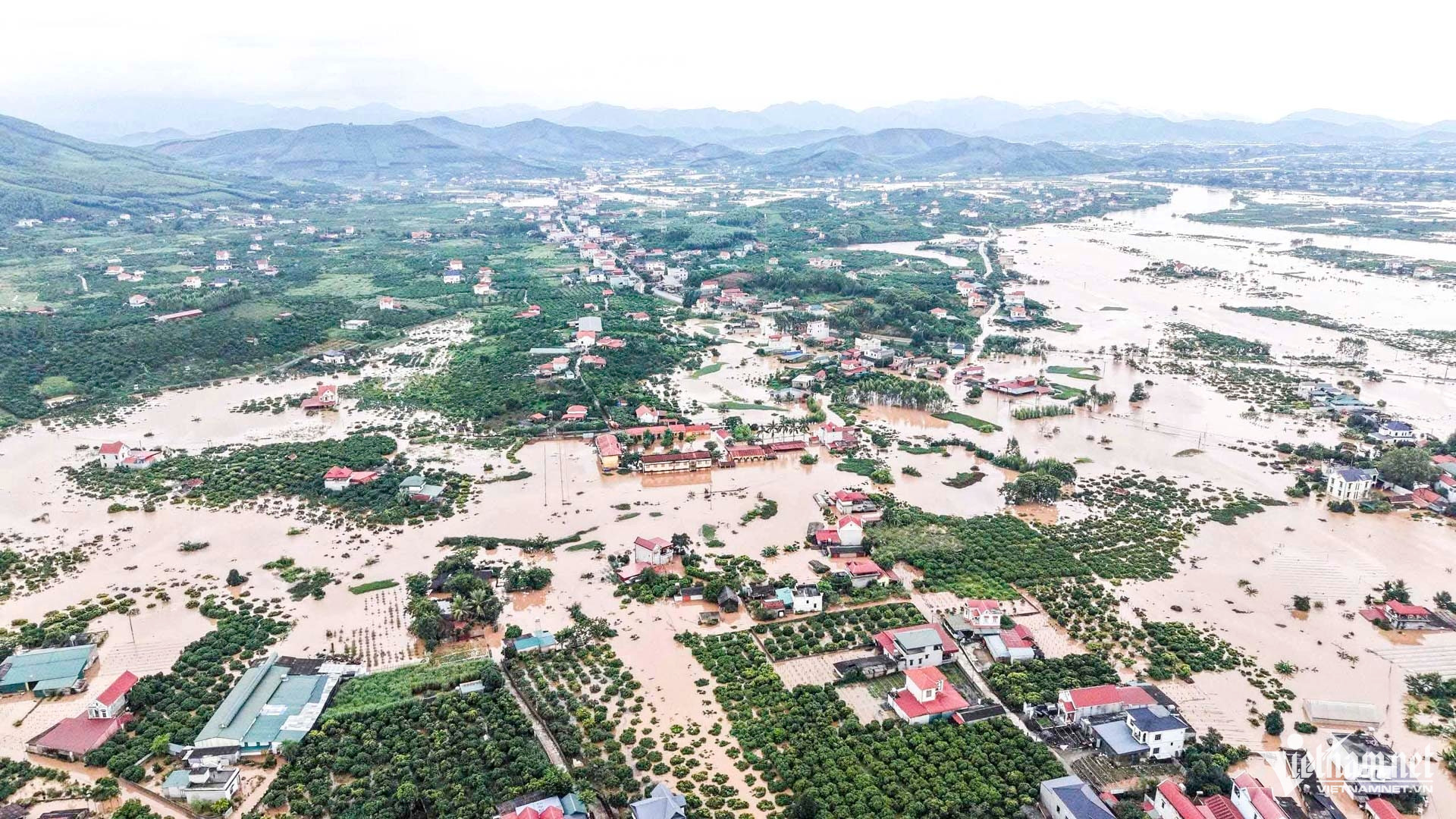 W-cây trồng bắc ninh ngập .JPG.jpg
