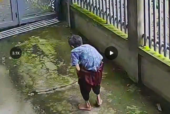 Bản tin trưa 3/8: Hàng trăm người tìm kiếm cụ bà 89 tuổi ở Đồng Nai
