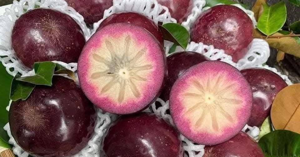 Loại quả "vàng" cho người cao huyết áp, mỡ máu