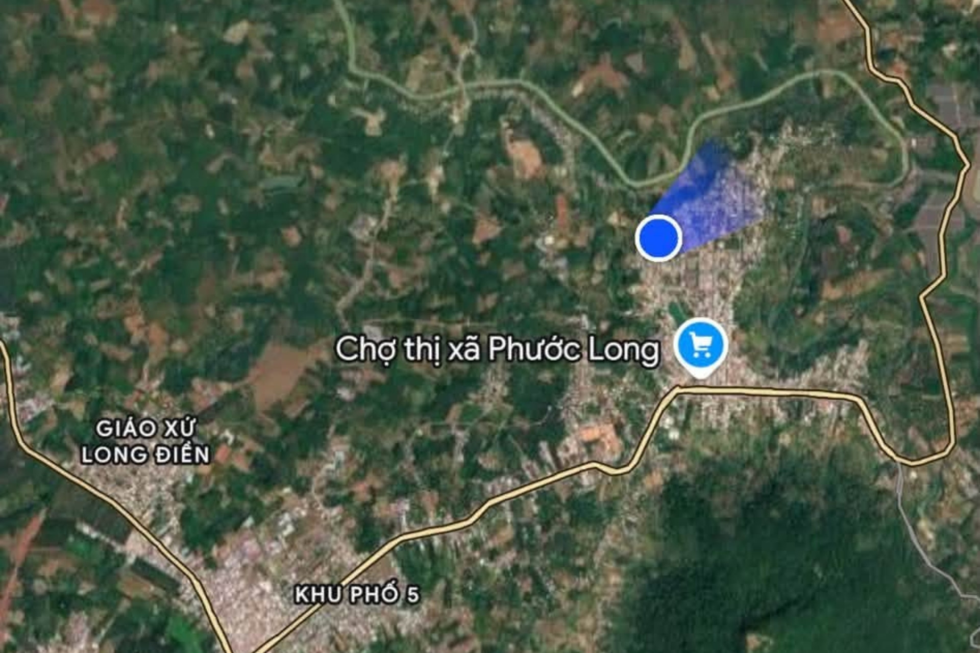 nghi ho chon tap the.jpg
