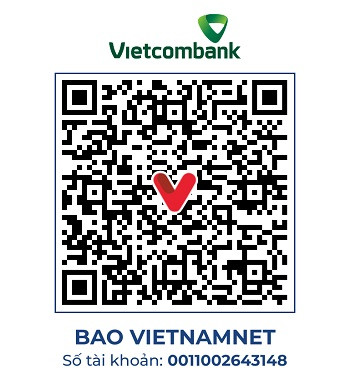 https://static-images.vnncdn.net/vps_images_publish/000001/000003/2026/8/3/vc-206-chi-quynh-2291.jpg