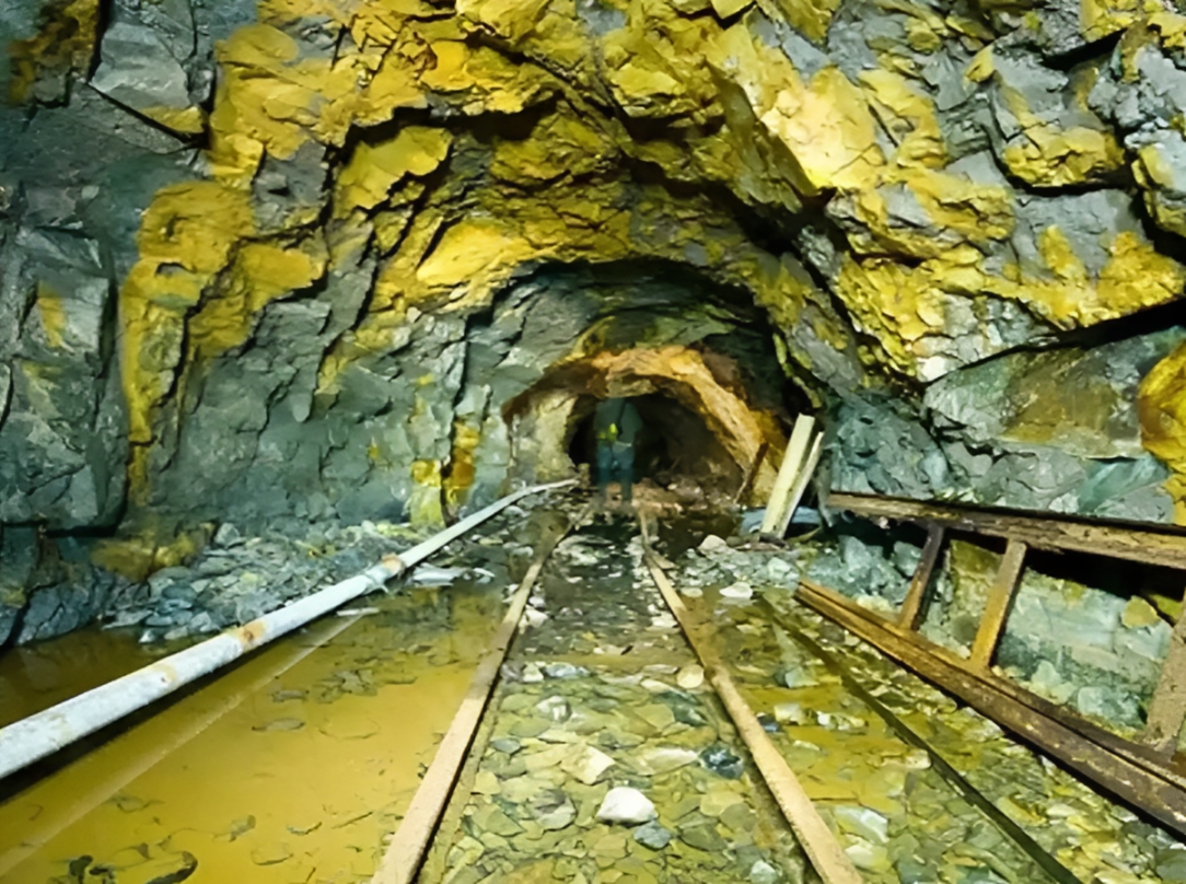 Hình 1 (6).png