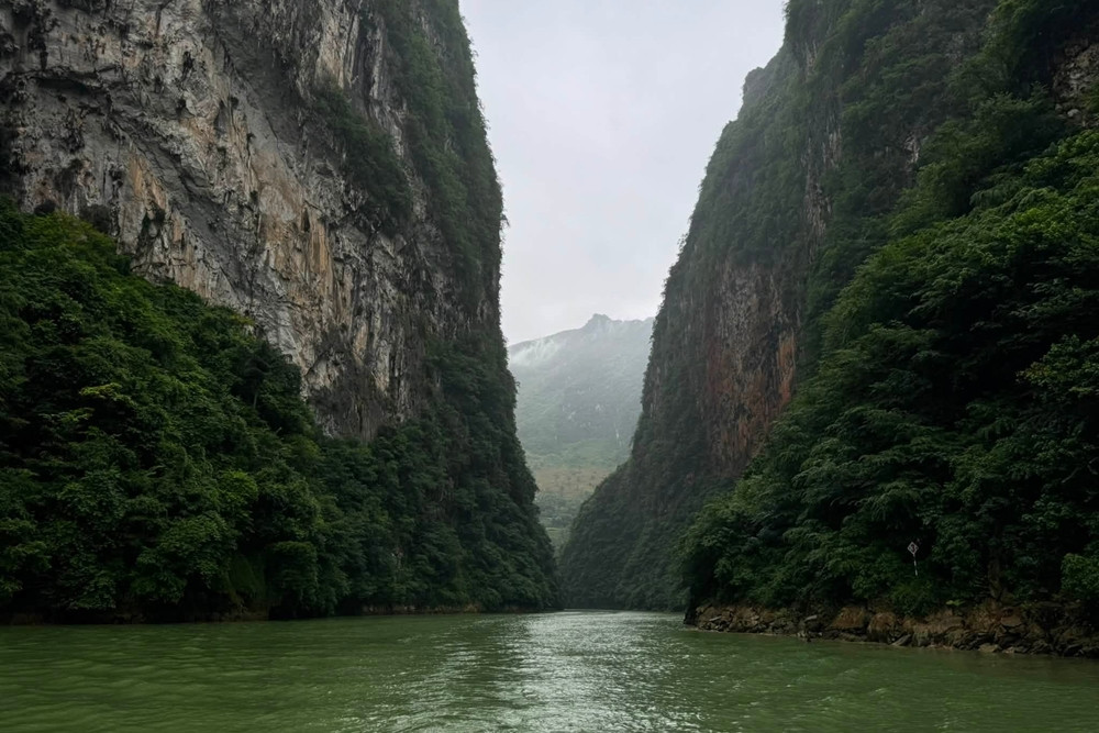https://static-images.vnncdn.net/vps_images_publish/000001/000003/2026/8/31/thao-nhi-1003-716.jpg