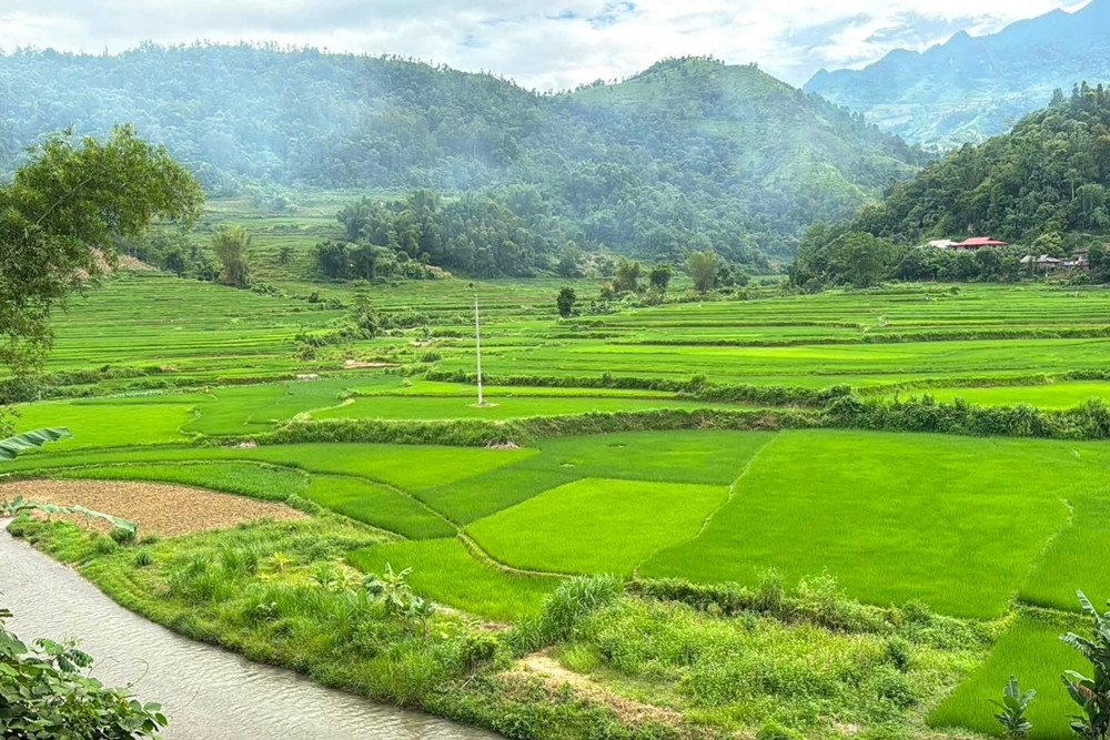 https://static-images.vnncdn.net/vps_images_publish/000001/000003/2026/8/31/thao-nhi-1006-715.jpg