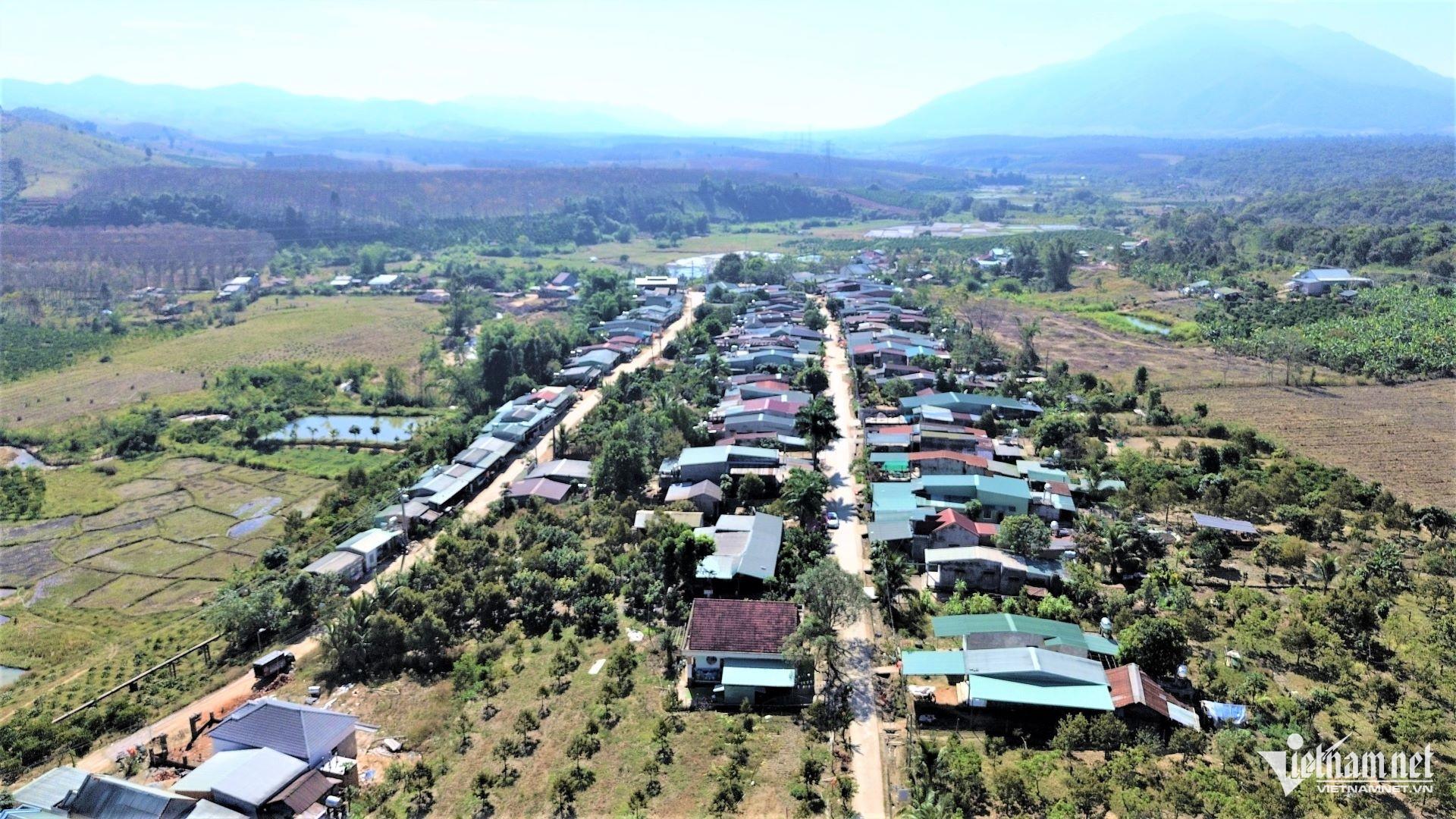 W-DAK TANG 3.jpg