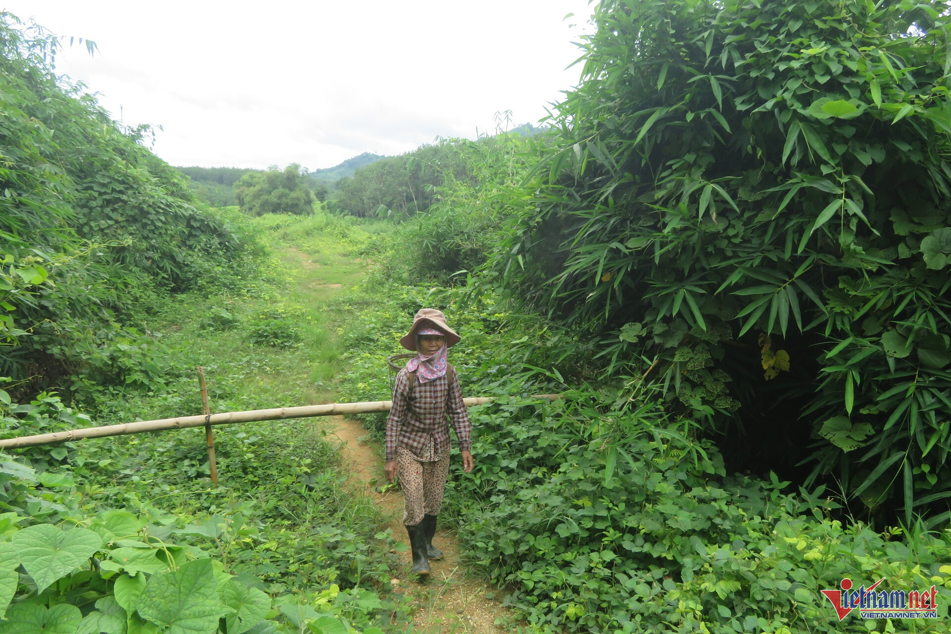 W-giao đất.jpg