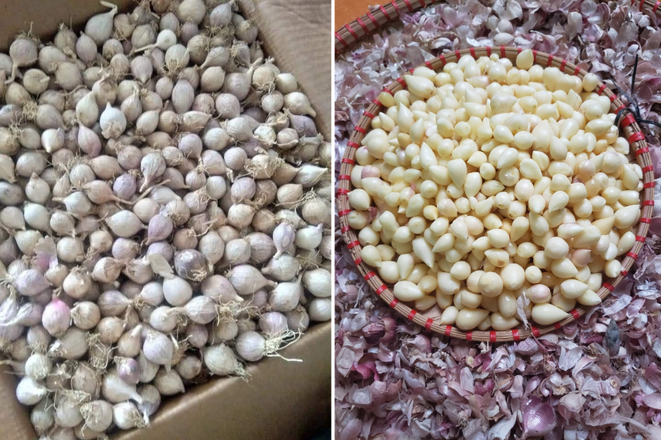 Đặc sản nào phát triển đột biến, được xem như 'thần dược' ở Sơn La?