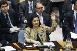 Đại sứ Brazil tại Mỹ Maria Luiza Ribeiro Viotti. Ảnh: Sipa