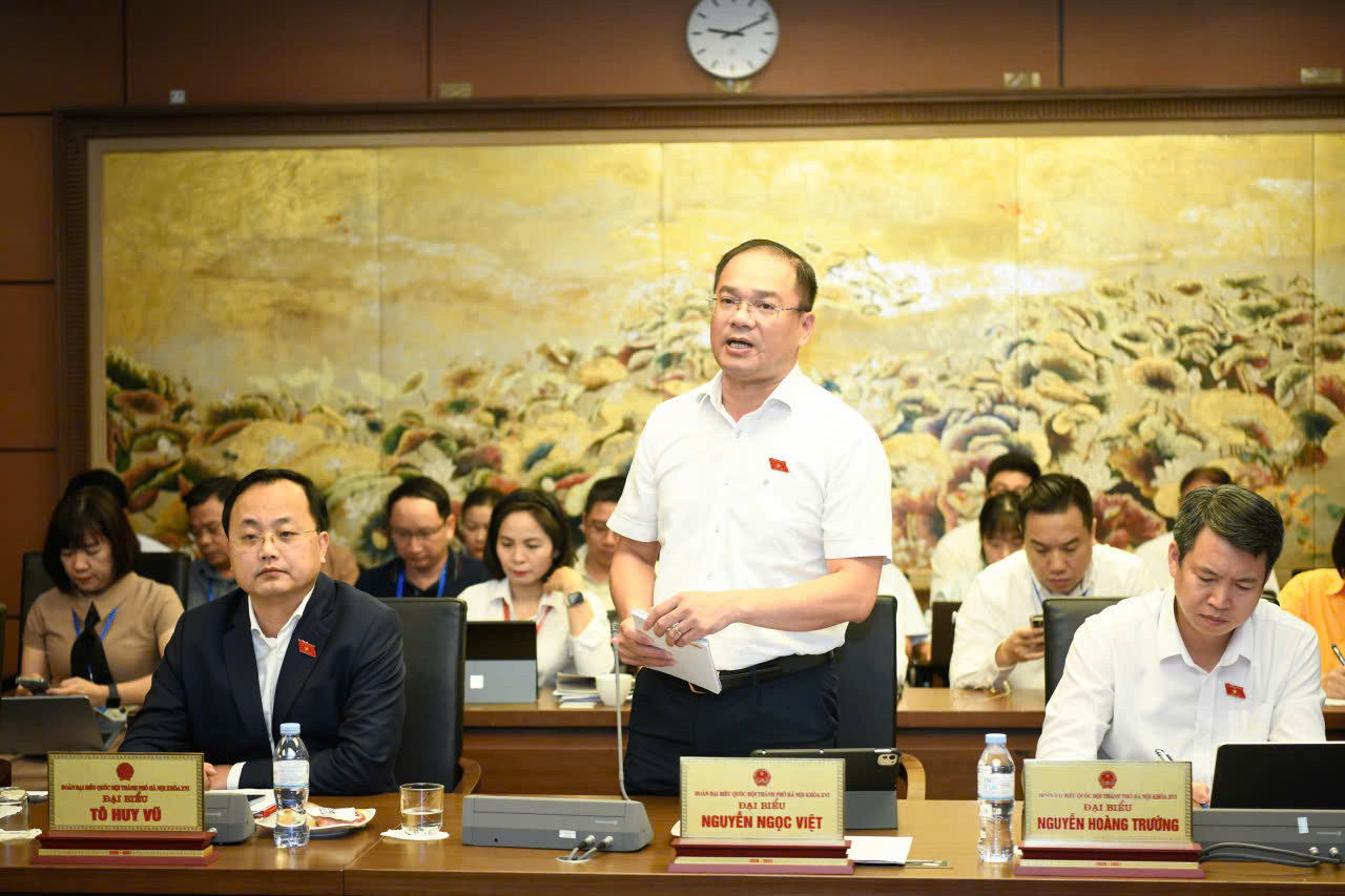 db ngoc viet12.jpg