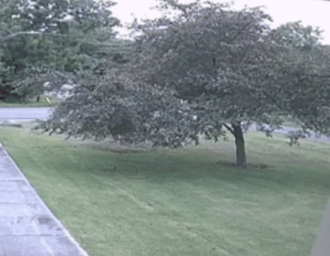 FSave.com_Reels_UPDATE-After-9-cars-crashed-into-this-Ca_Media_1359352345697367_002_720p.mp4