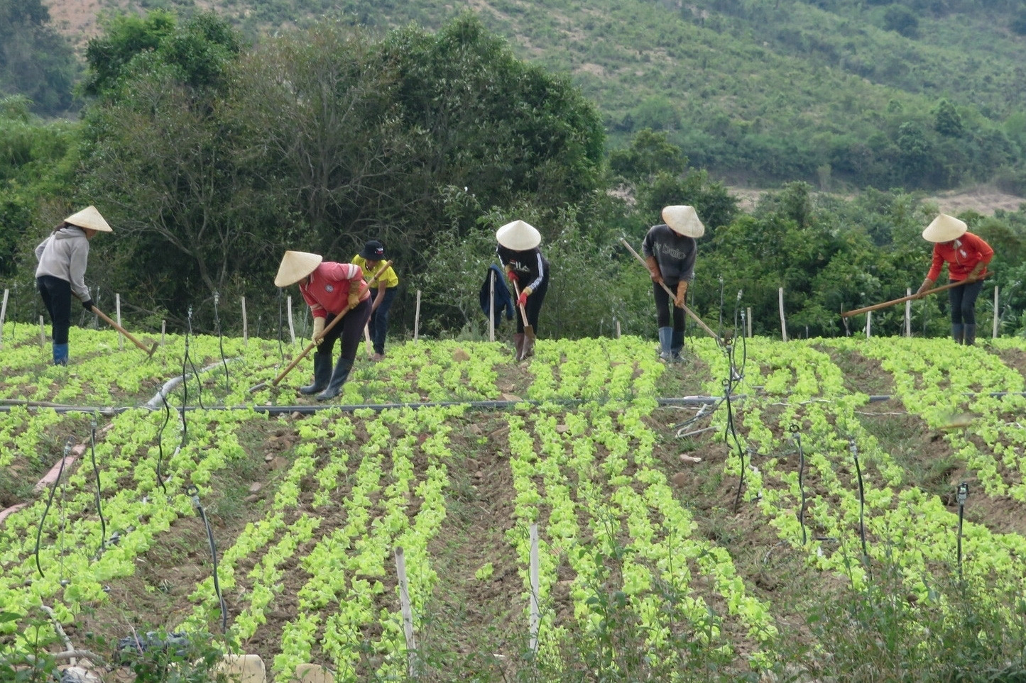 Hỗ trợ đất sản xuất cho đồng bào: Khi địa phương ‘bỏ khó, chọn dễ’