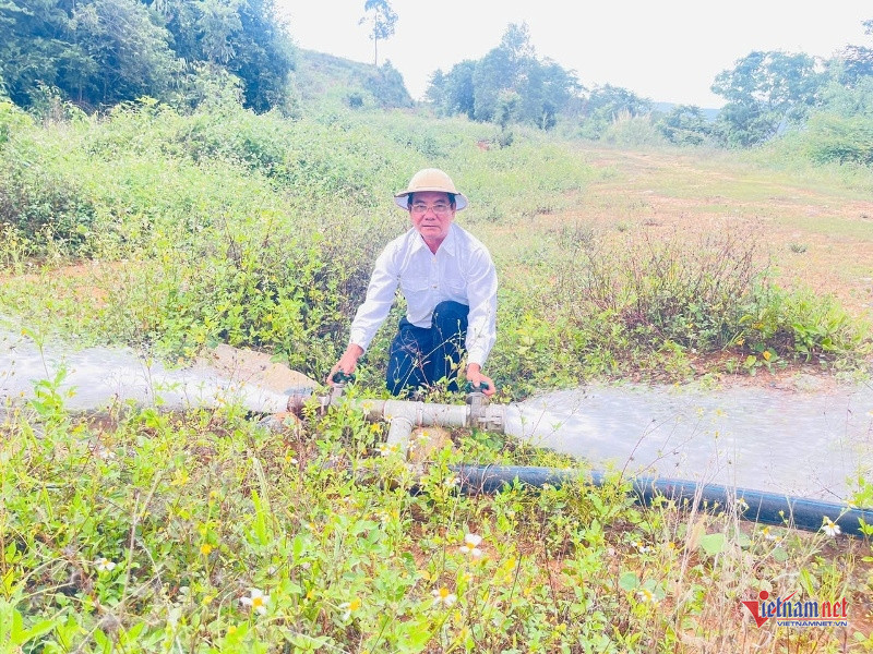 W-Hồi sinh vùng đất chết 3.jpg