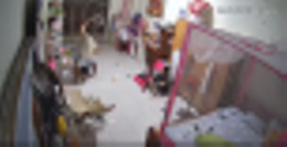 danh dap con gai.webp