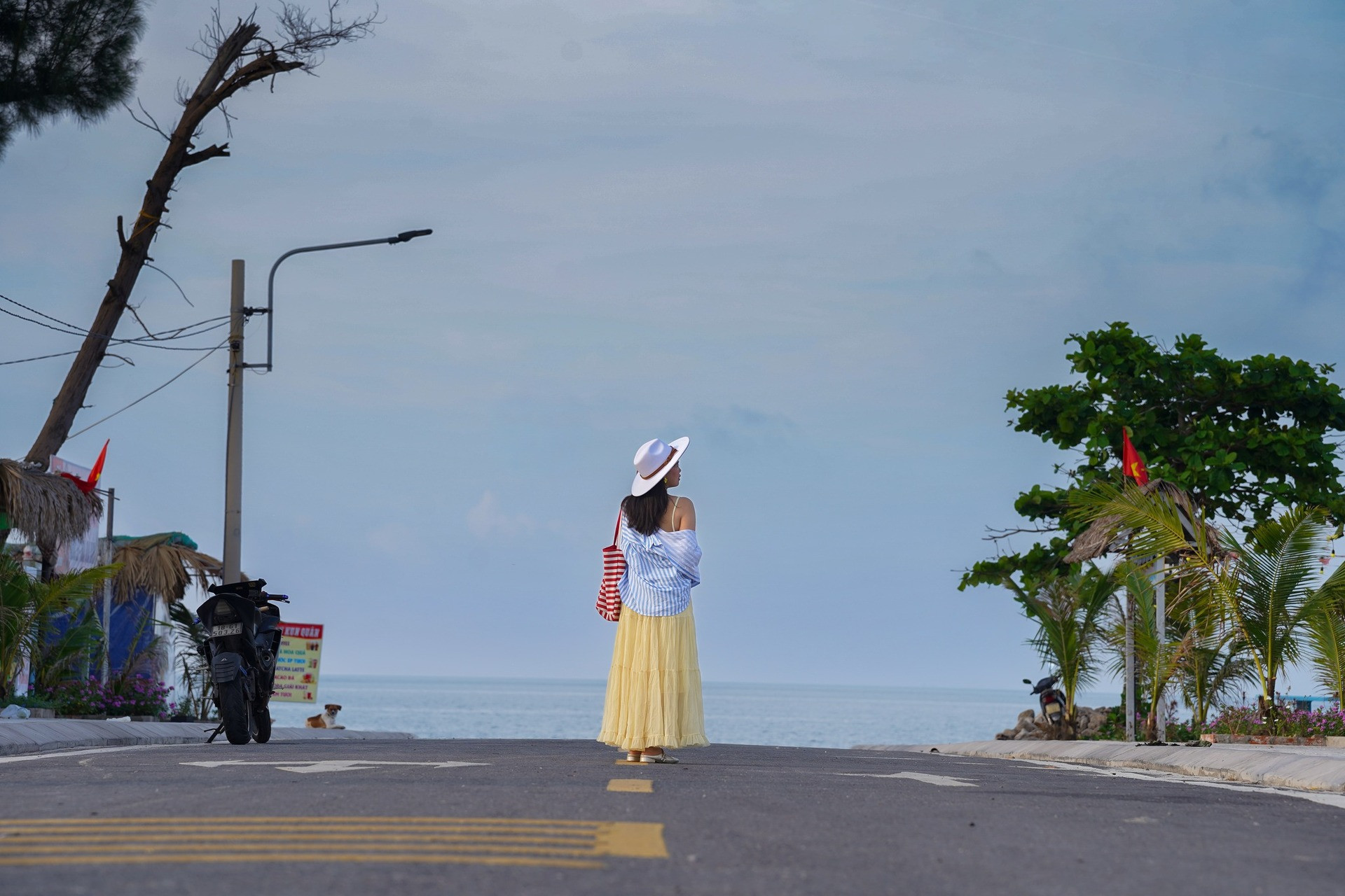 https://static-images.vnncdn.net/vps_images_publish/000001/000003/2026/8/6/dao-ngoc-vung-quang-ninh4-3644-2097.jpg