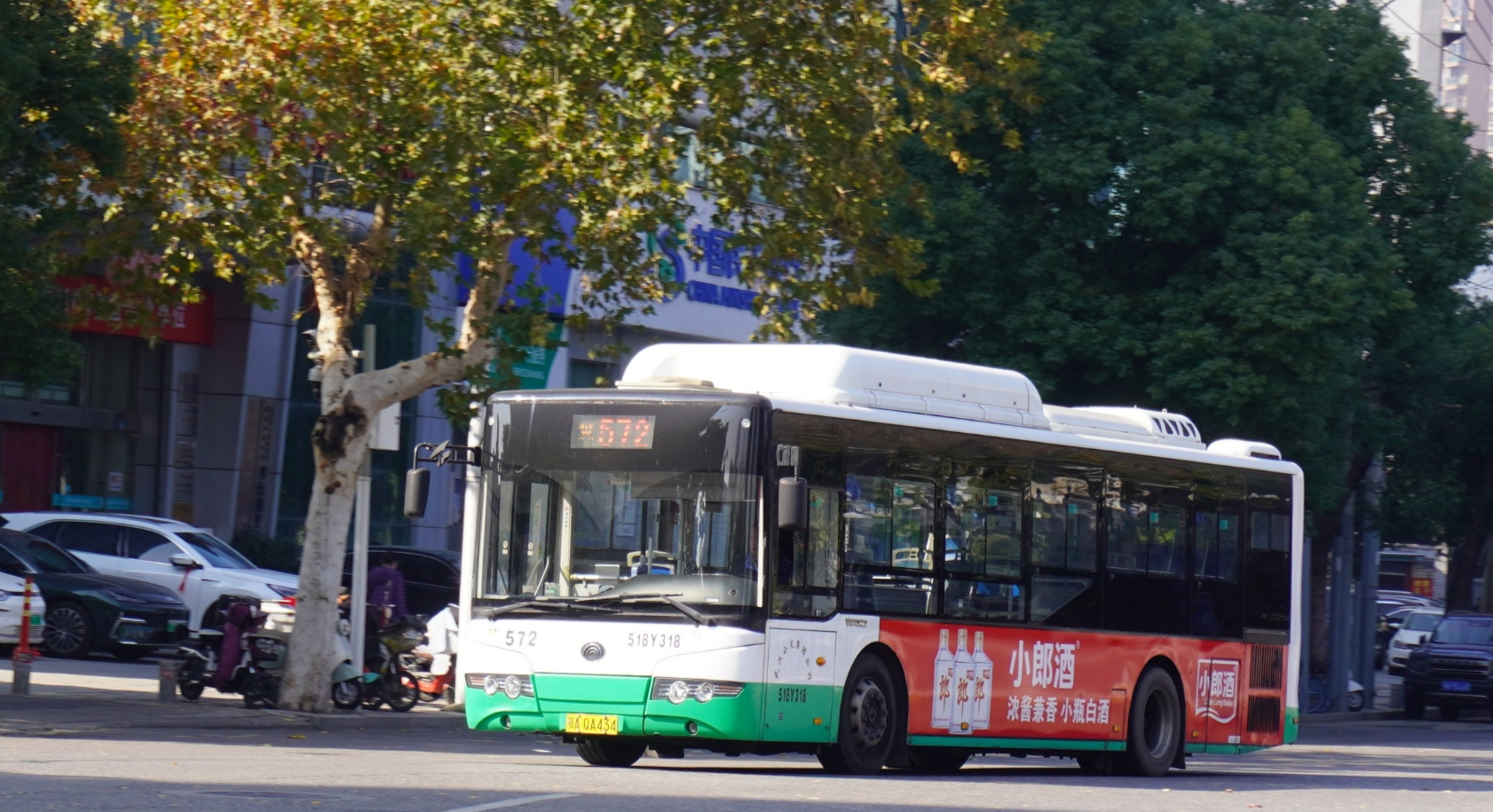 Hình 2 (5).png