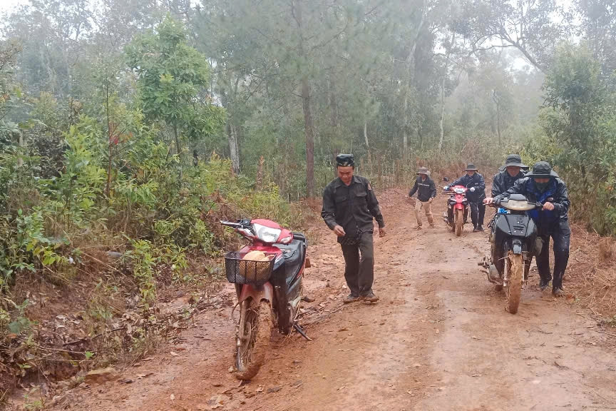 Khoa học 'chỉ đường' nối lại những cuộc chia ly