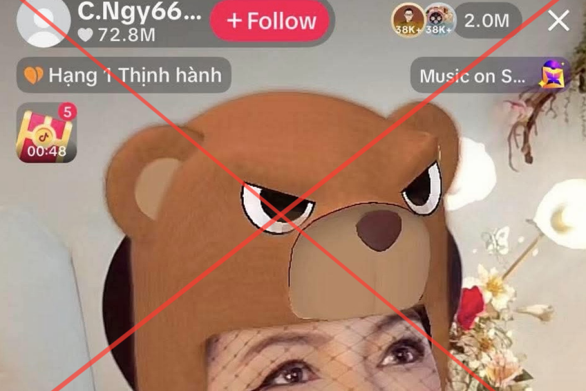 Vì sao TikTok khoá phiên livestream của bà Nguyễn Phương Hằng?